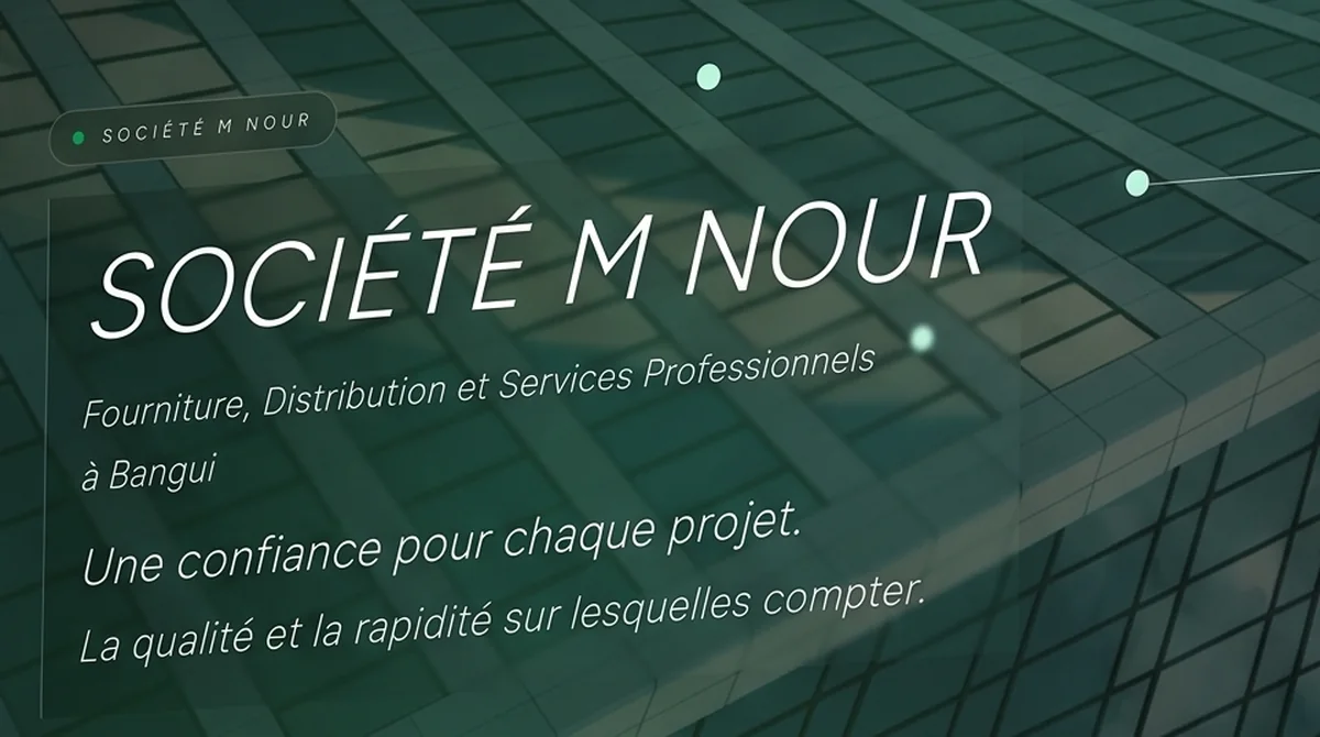 Société M Nour website detail